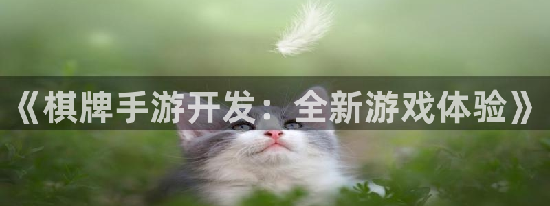 万赢娱乐平台咋样：《棋牌手游开发：全新游戏体验》