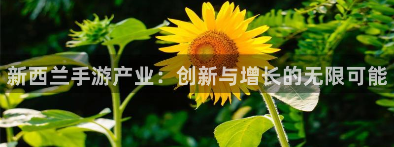 wy娱乐万赢登录首页官网：新西兰手游产业：创新与增长的无限可