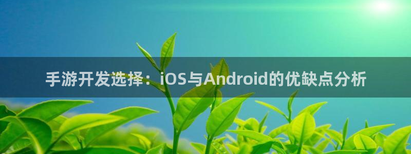 万赢娱乐大转盘：手游开发选择：iOS与Android的优缺点