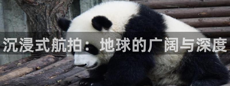 新球体育比分网：沉浸式航拍：地球的广阔与深度