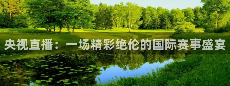 新球体育比分网：央视直播：一场精彩绝伦的国际赛事盛宴