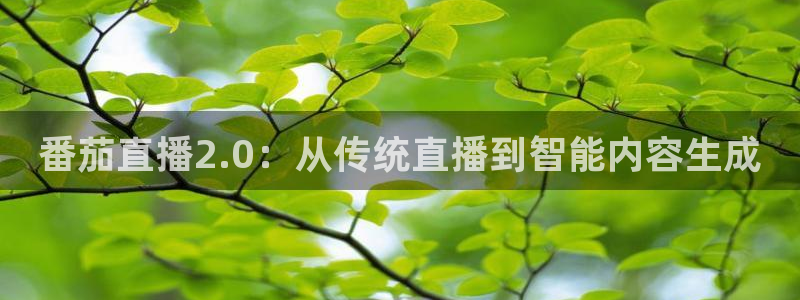 新球赛直播：番茄直播2.0：从传统直播到智能内容生成