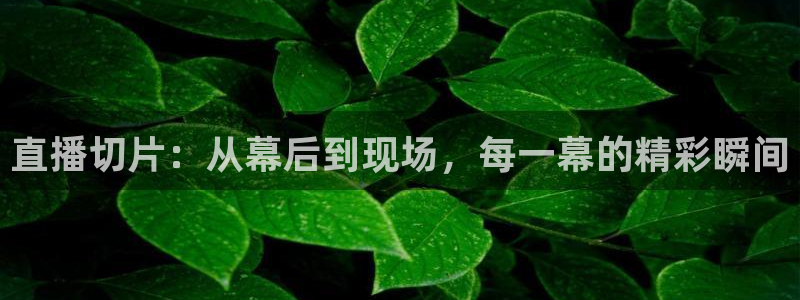 新球体育比分网：直播切片：从幕后到现场，每一幕的精彩瞬间