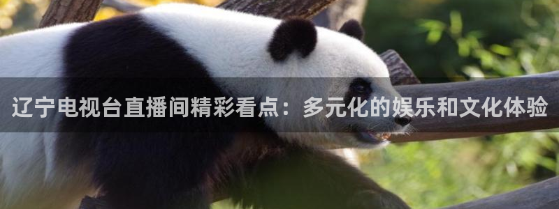 新球赛直播：辽宁电视台直播间精彩看点：多元化的娱乐和文化体验