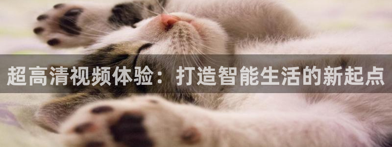 新球体育比分