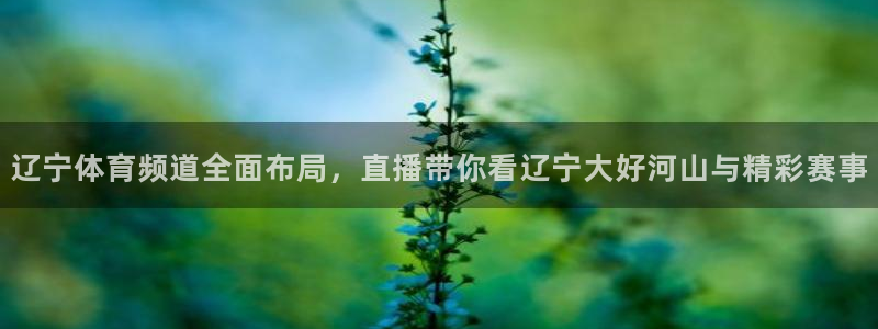 新球体育篮球比分