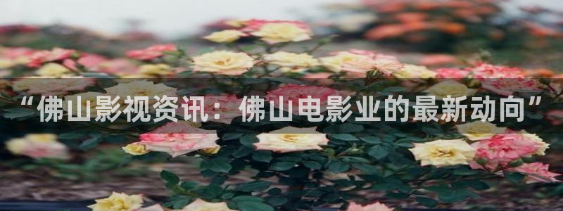 新球体育篮球比分：“佛山影视资讯：佛山电影业的最新动向”