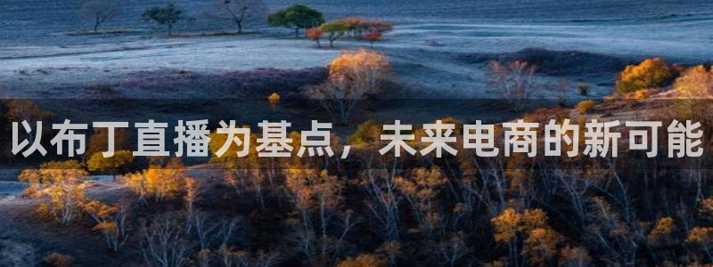 新球体育足球比分：以布丁直播为基点，未来电商的新可能