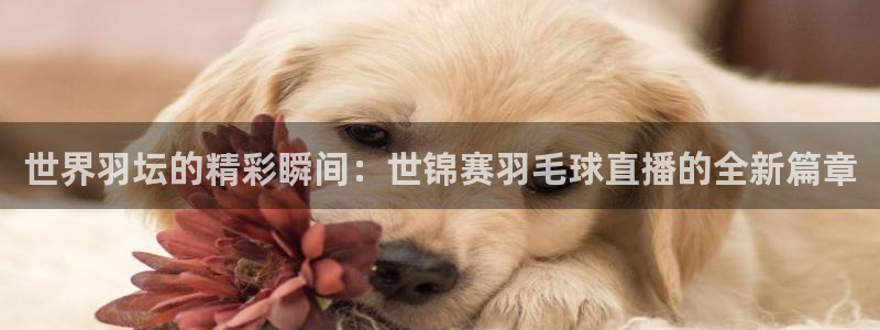 新体球即时比分新球体育：世界羽坛的精彩瞬间：世锦赛羽毛球直播的全新篇章